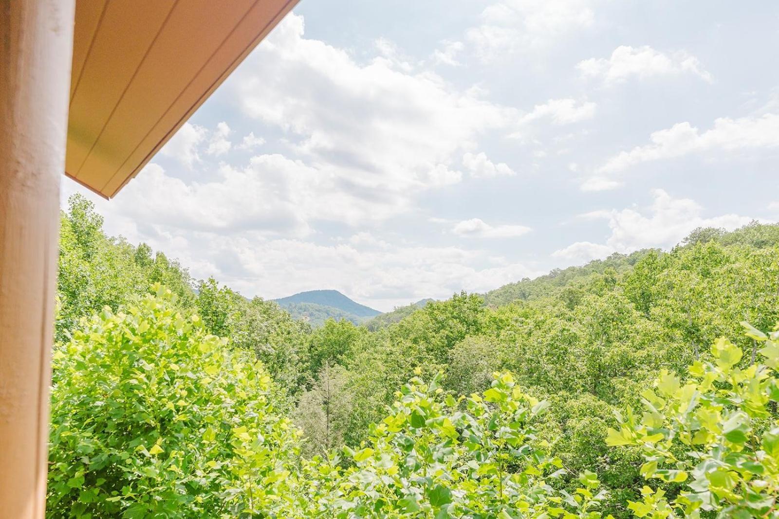 Absolute Bearadise Cabin Villa Sevierville Exterior photo